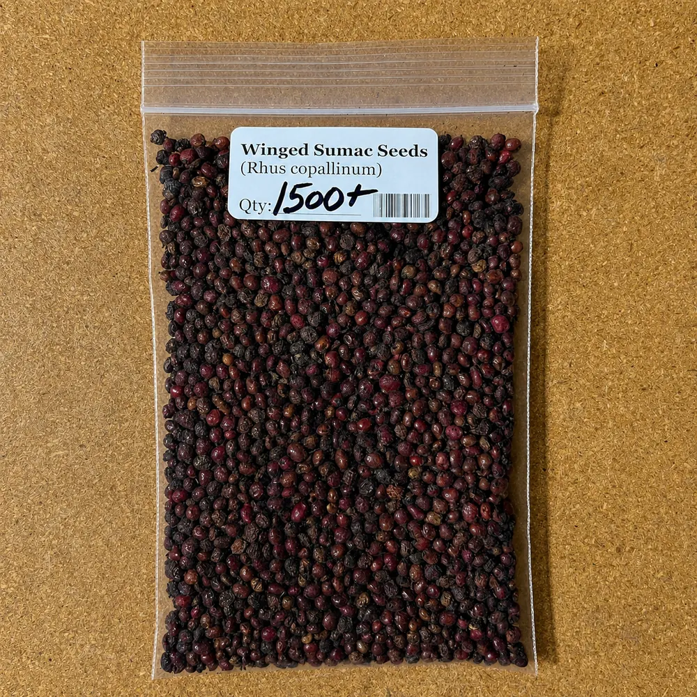Winged sumac 1,500-seed pack