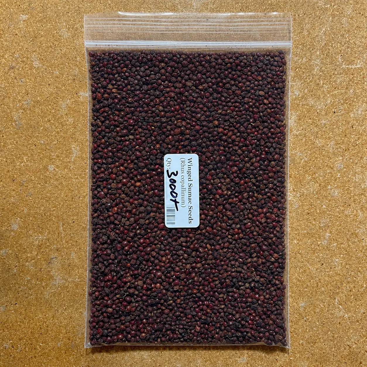 Winged sumac 3,000-seed pack