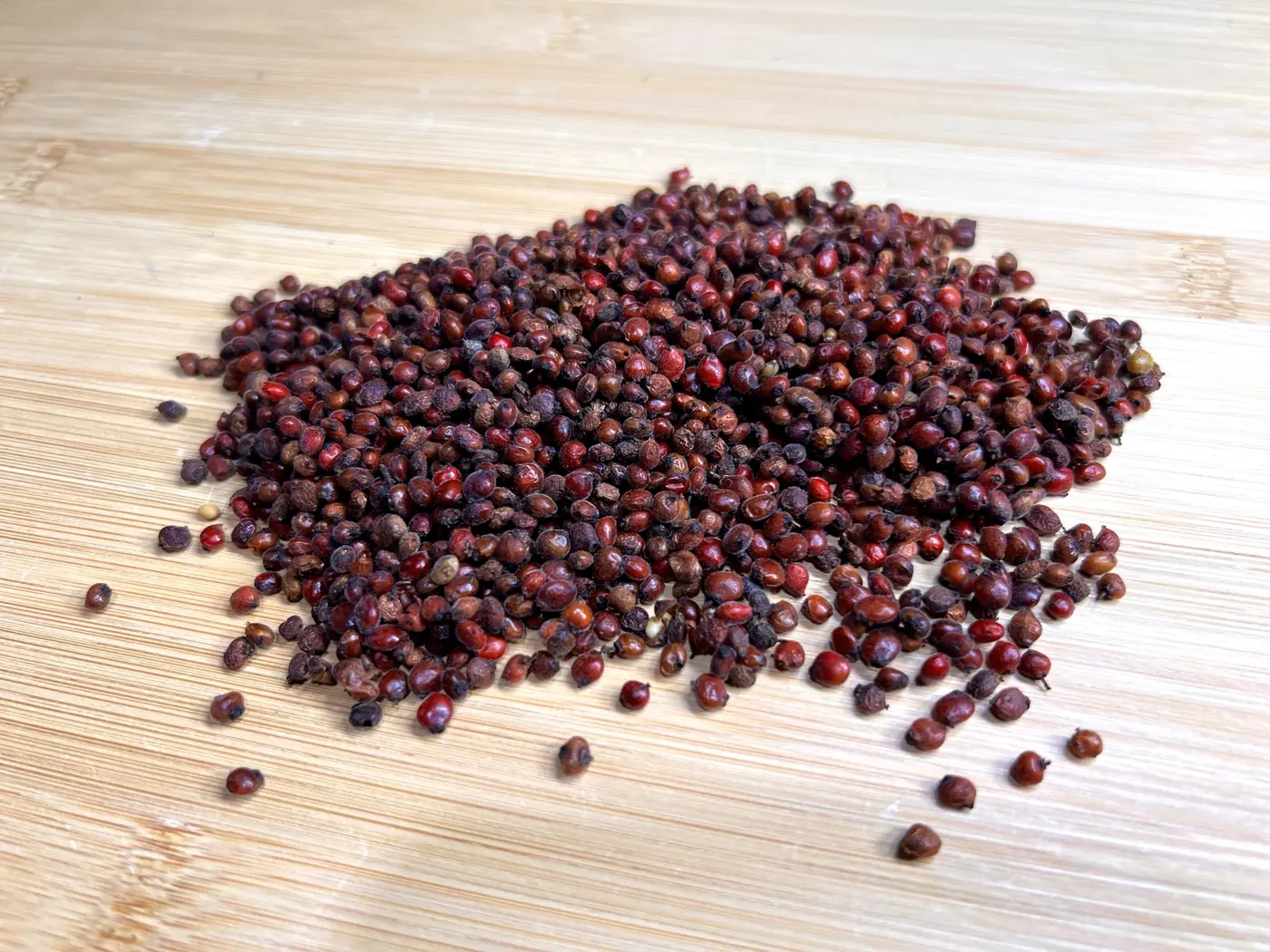 Close-up of deep burgundy winged sumac berry cones ripe for harvest